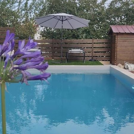 Domaine De La Vigne Bed & Breakfast Cadalen Dış mekan fotoğraf