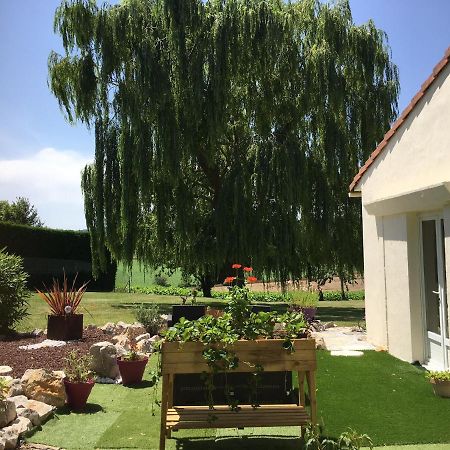 Domaine De La Vigne Bed & Breakfast Cadalen Dış mekan fotoğraf