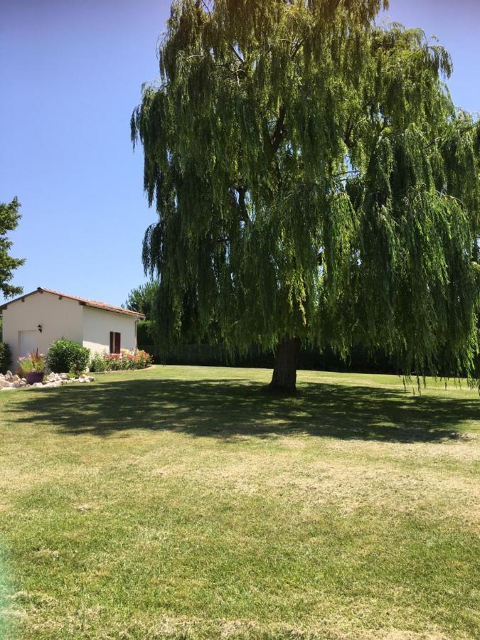 Domaine De La Vigne Bed & Breakfast Cadalen Dış mekan fotoğraf