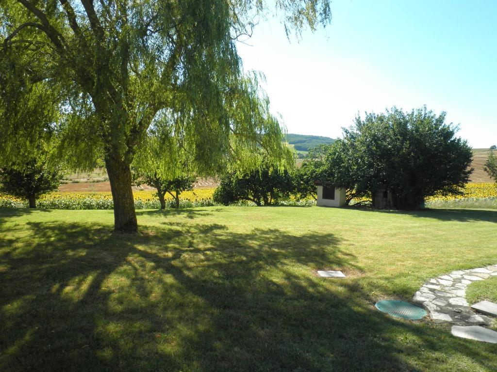Domaine De La Vigne Bed & Breakfast Cadalen Dış mekan fotoğraf
